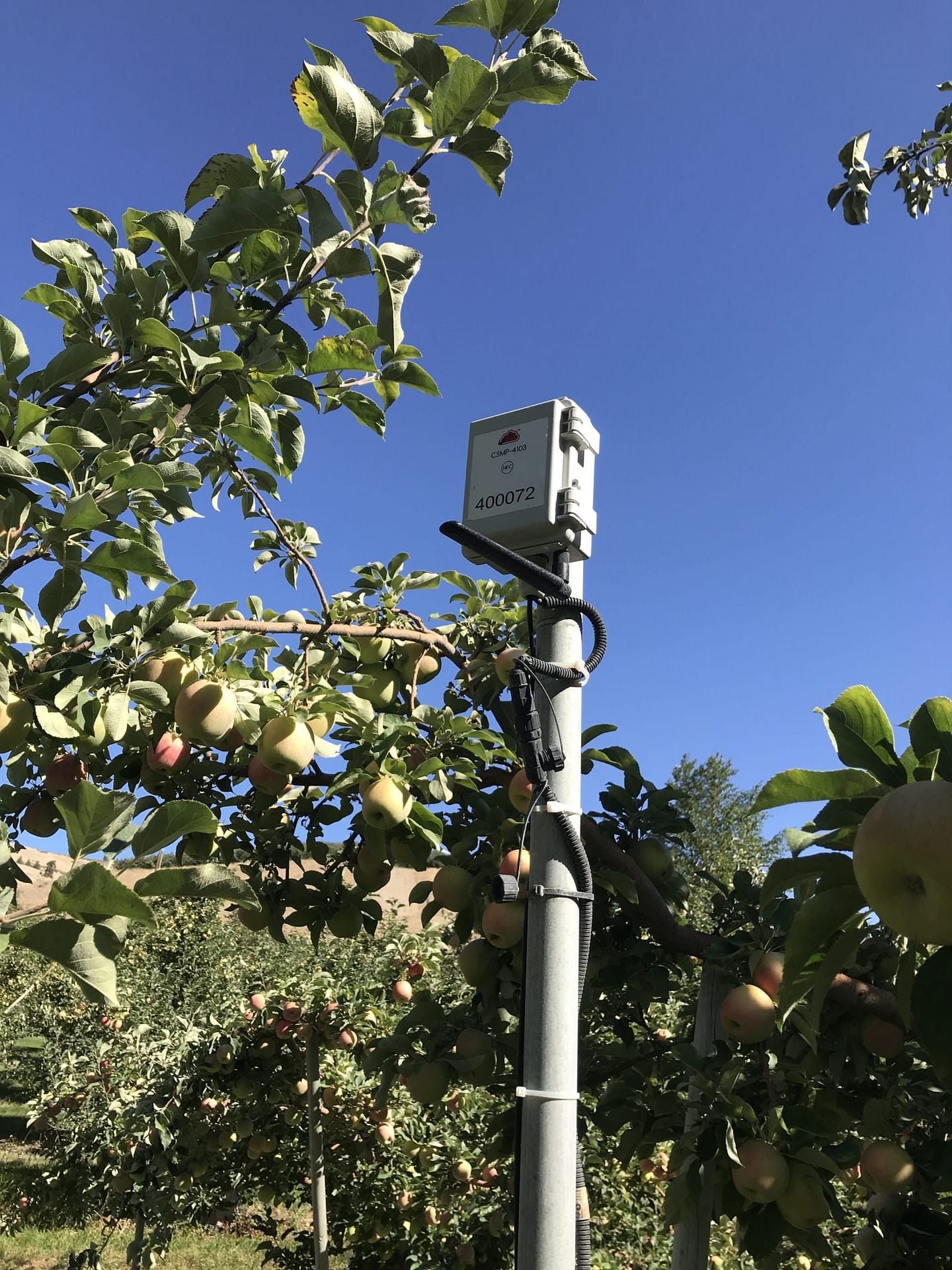 Zenseio Orchard Monitoring